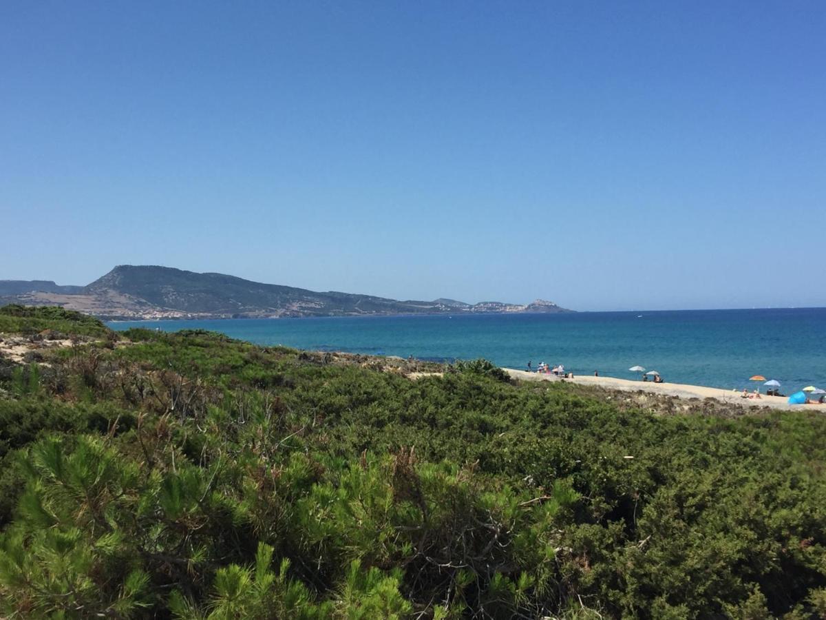 Carrabean Sea In The North Of Sardegna, With Swimming Pool Villa Viddalba Buitenkant foto