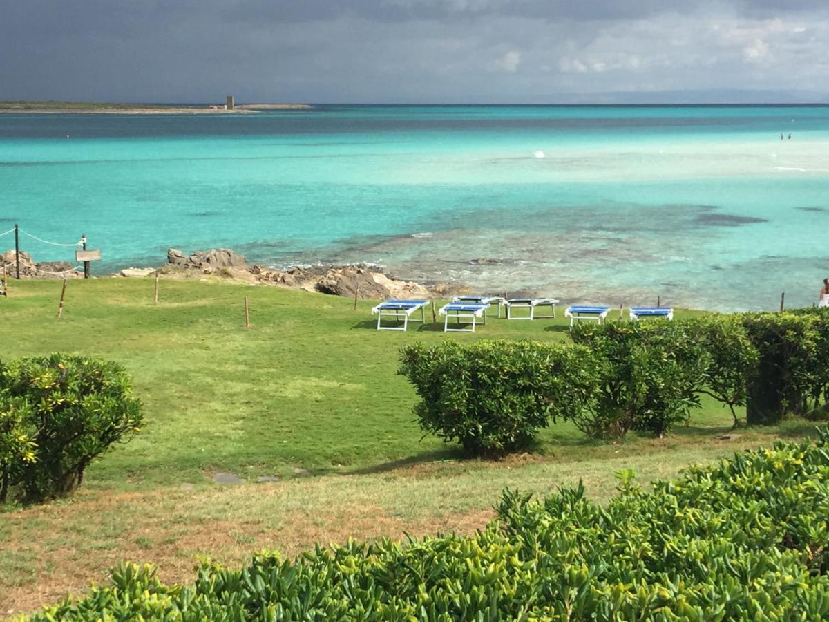 Carrabean Sea In The North Of Sardegna, With Swimming Pool Villa Viddalba Buitenkant foto