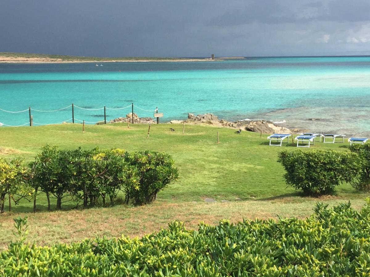 Carrabean Sea In The North Of Sardegna, With Swimming Pool Villa Viddalba Buitenkant foto