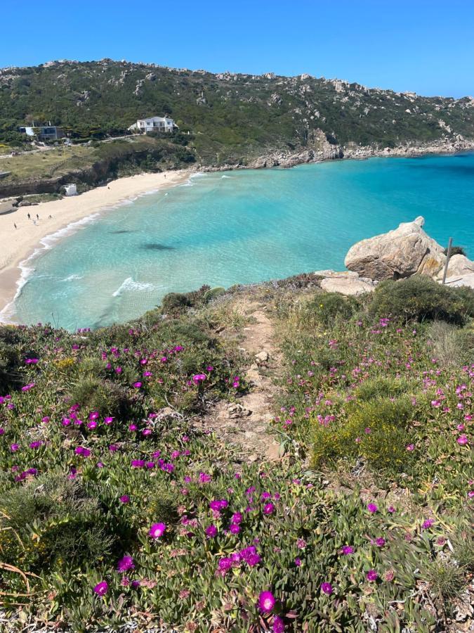 Carrabean Sea In The North Of Sardegna, With Swimming Pool Villa Viddalba Buitenkant foto